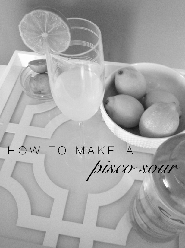 Shannon Gail How To Make a Pisco Sour
